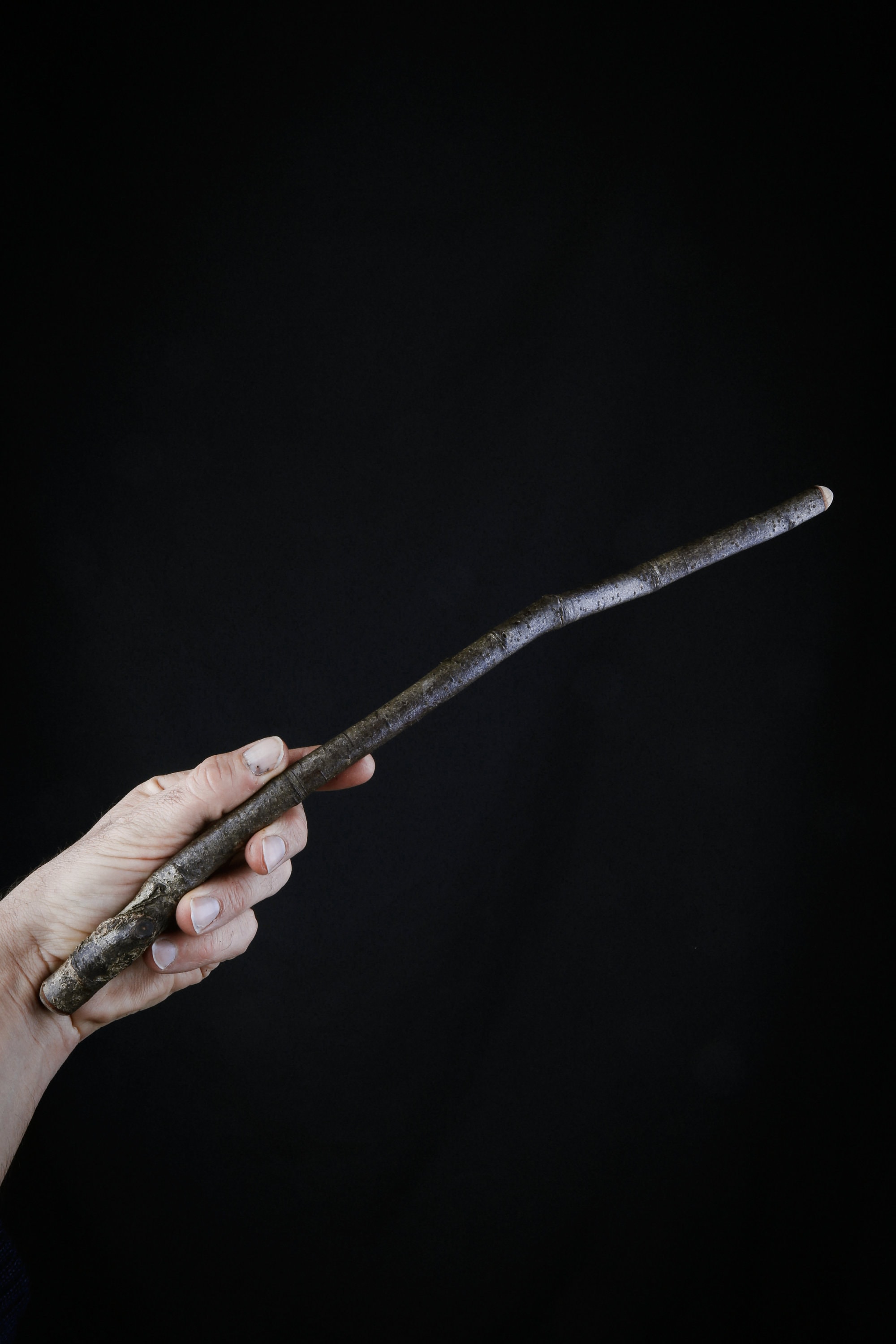 Baguette Magique en Bois de Hêtre