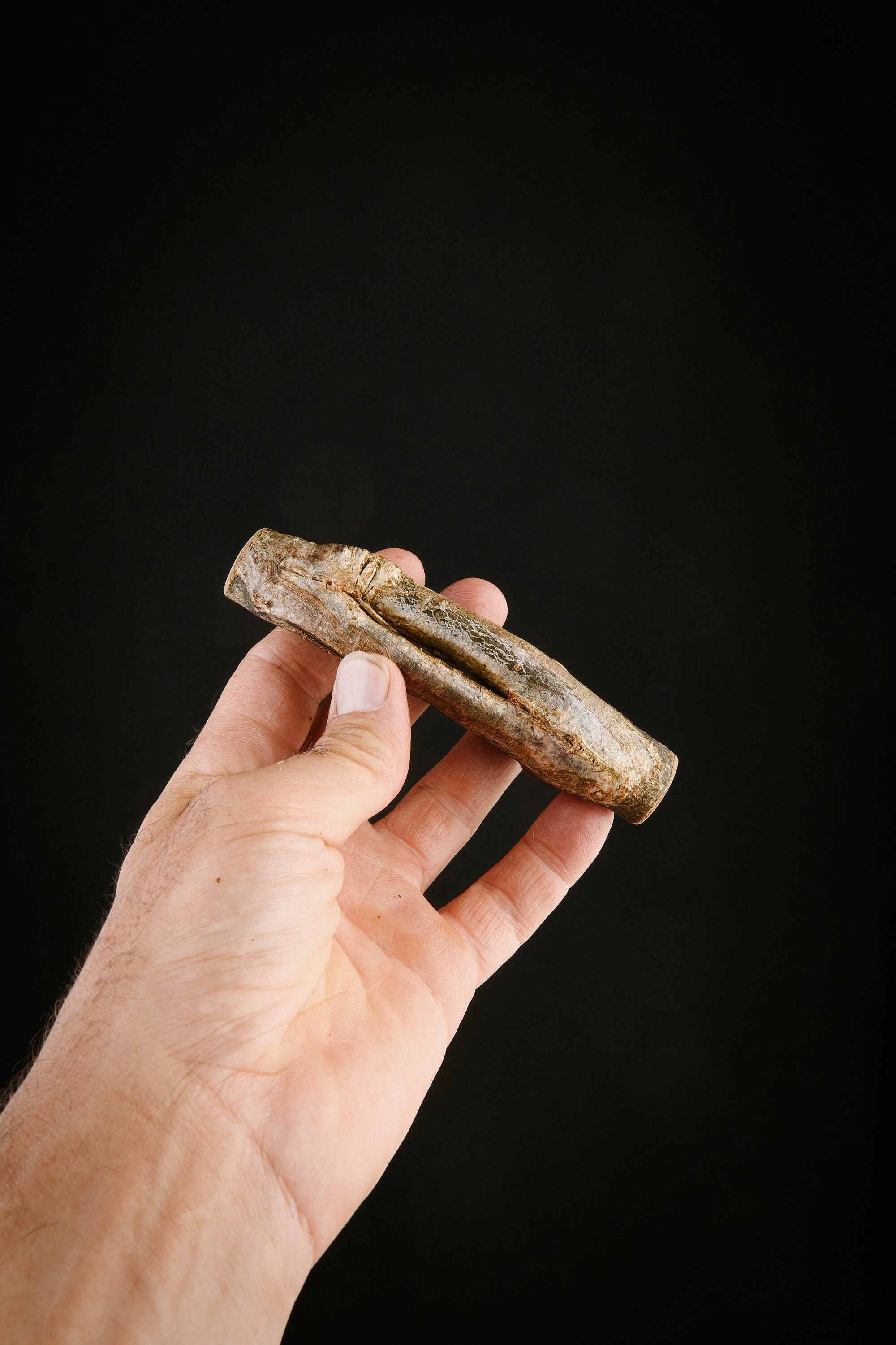 Talisman Chamanique en Bois de Houx, Bâton Rituel Sacré Païen