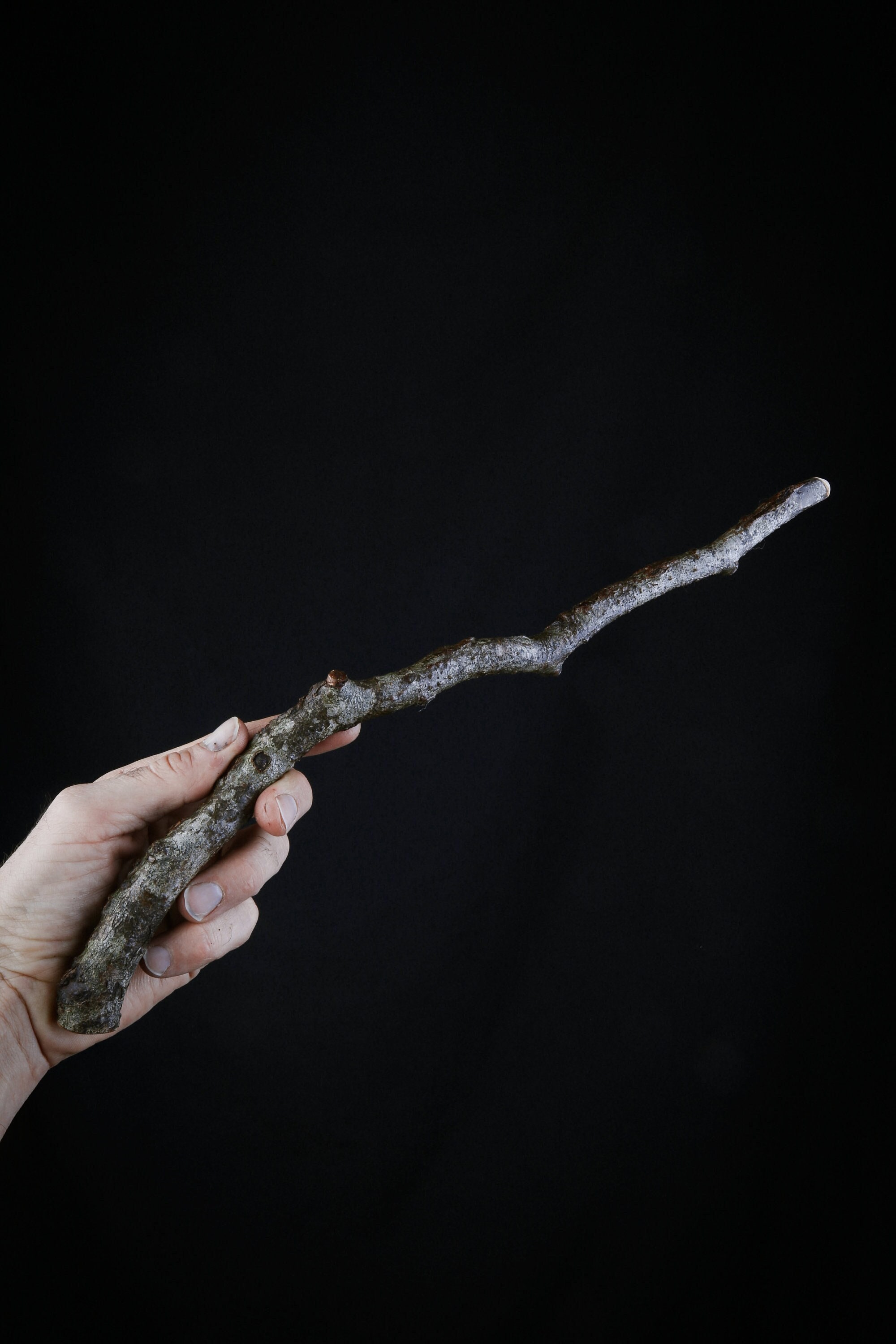 Baguette Magique en Bois de Hêtre