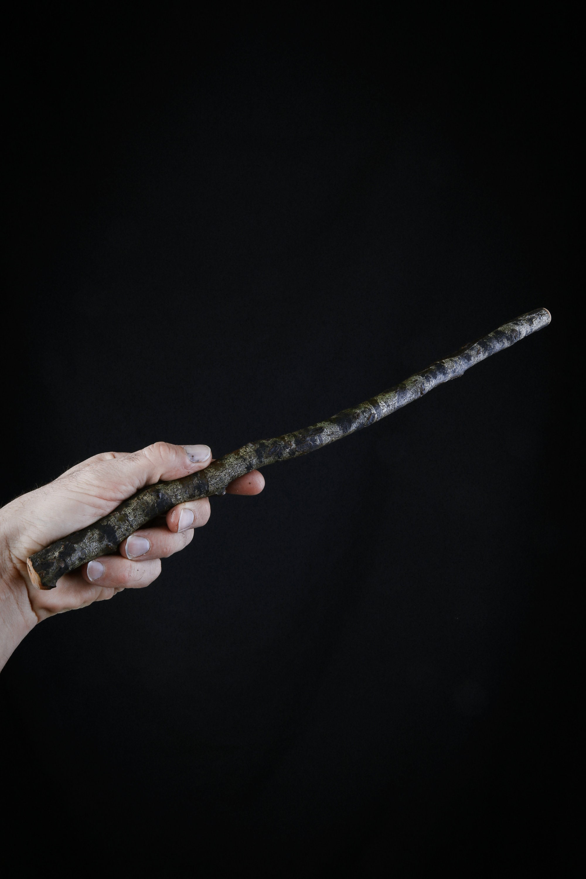 Baguette Magique en Bois de Hêtre