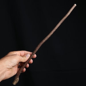 May include: A dark brown wooden wand, hand-crafted with a gently curved design. The wand is set against a black backdrop, highlighting its natural texture and unique shape. The tip of the wand is a lighter shade.