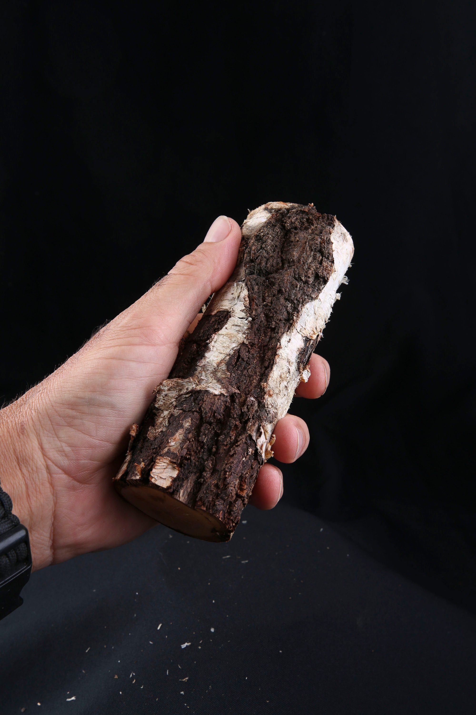 Talisman Chamanique en Bois de Bouleau, Bâton Rituel Sacré Païen