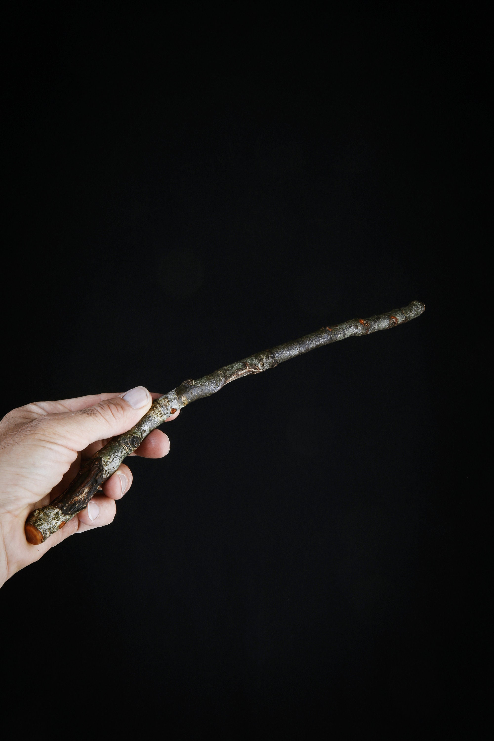 Baguette Magique en Bois d'alisier