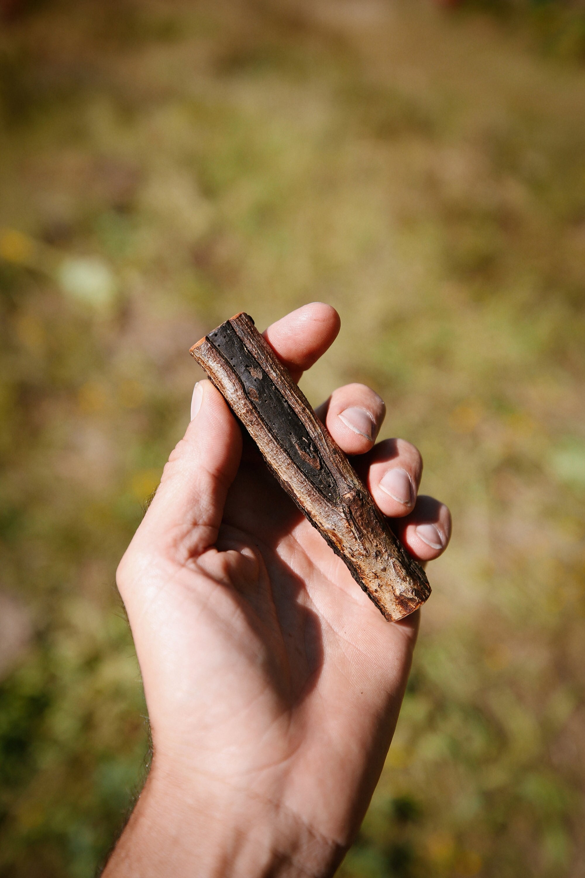 Talisman Chamanique en Bois d'alisier, Bâton Rituel Sacré Païen