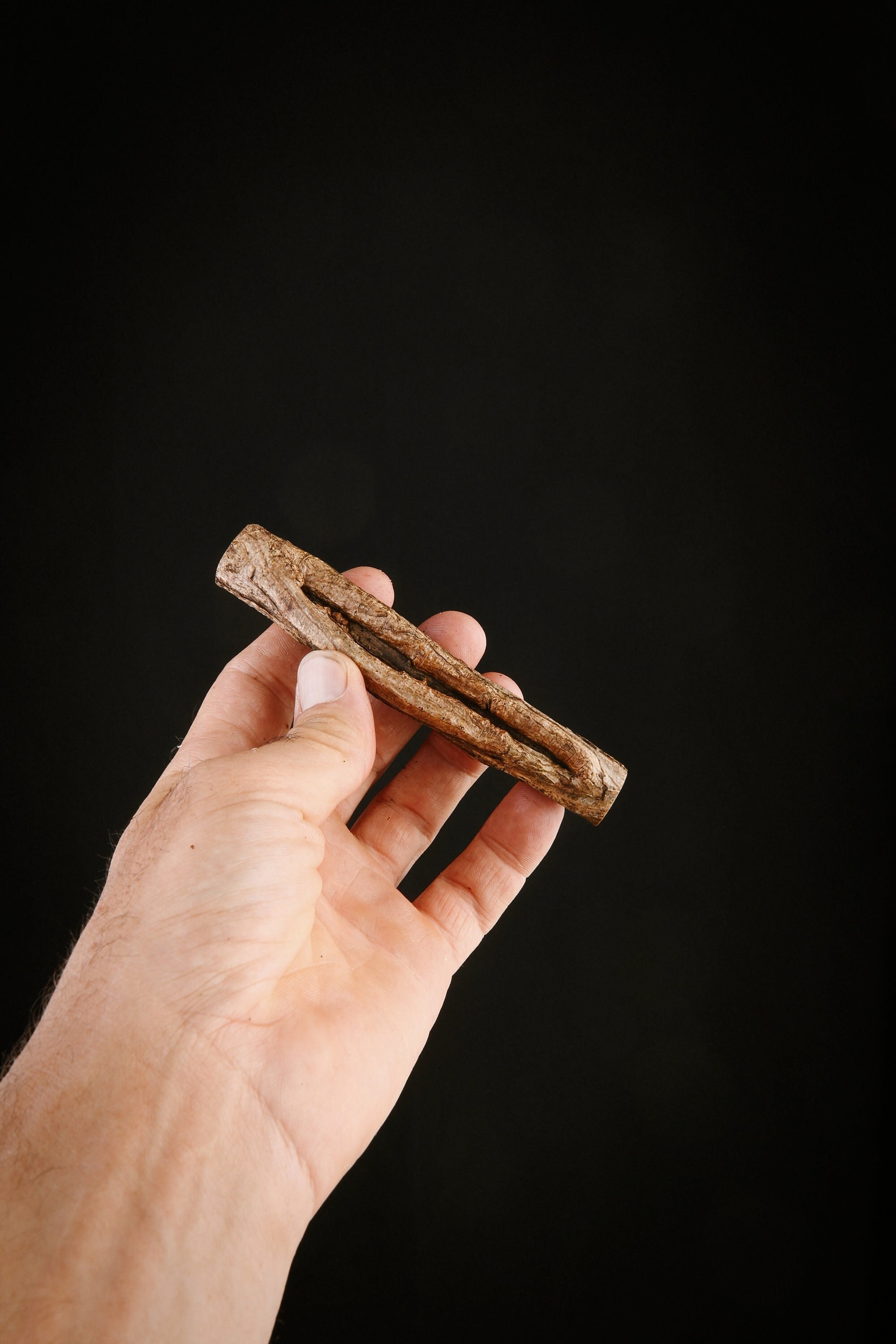 Talisman Chamanique en Bois de Houx, Bâton Rituel Sacré Païen