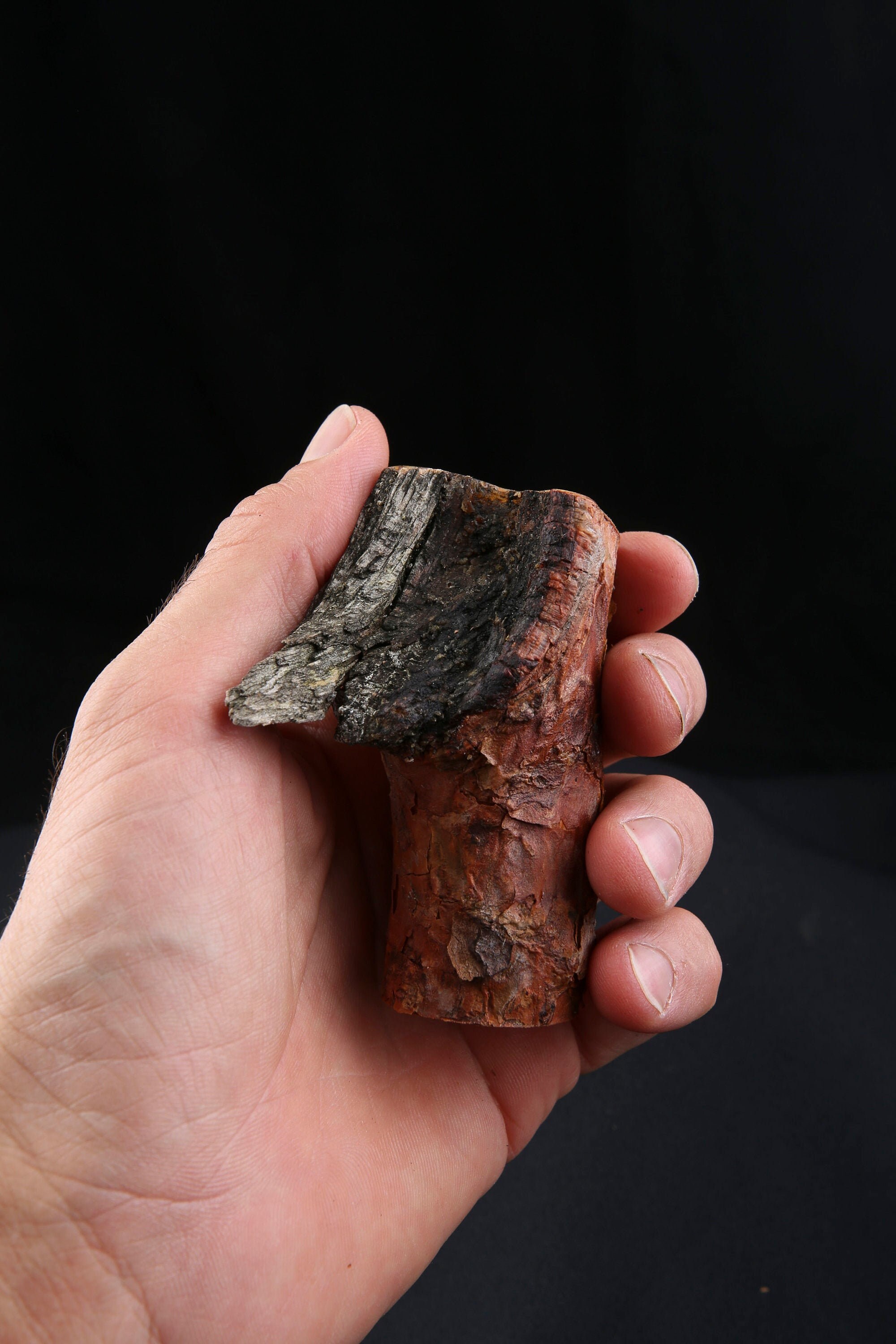 Talisman Chamanique en Bois de Pin Sylvestre, Bâton Rituel Sacré Païen