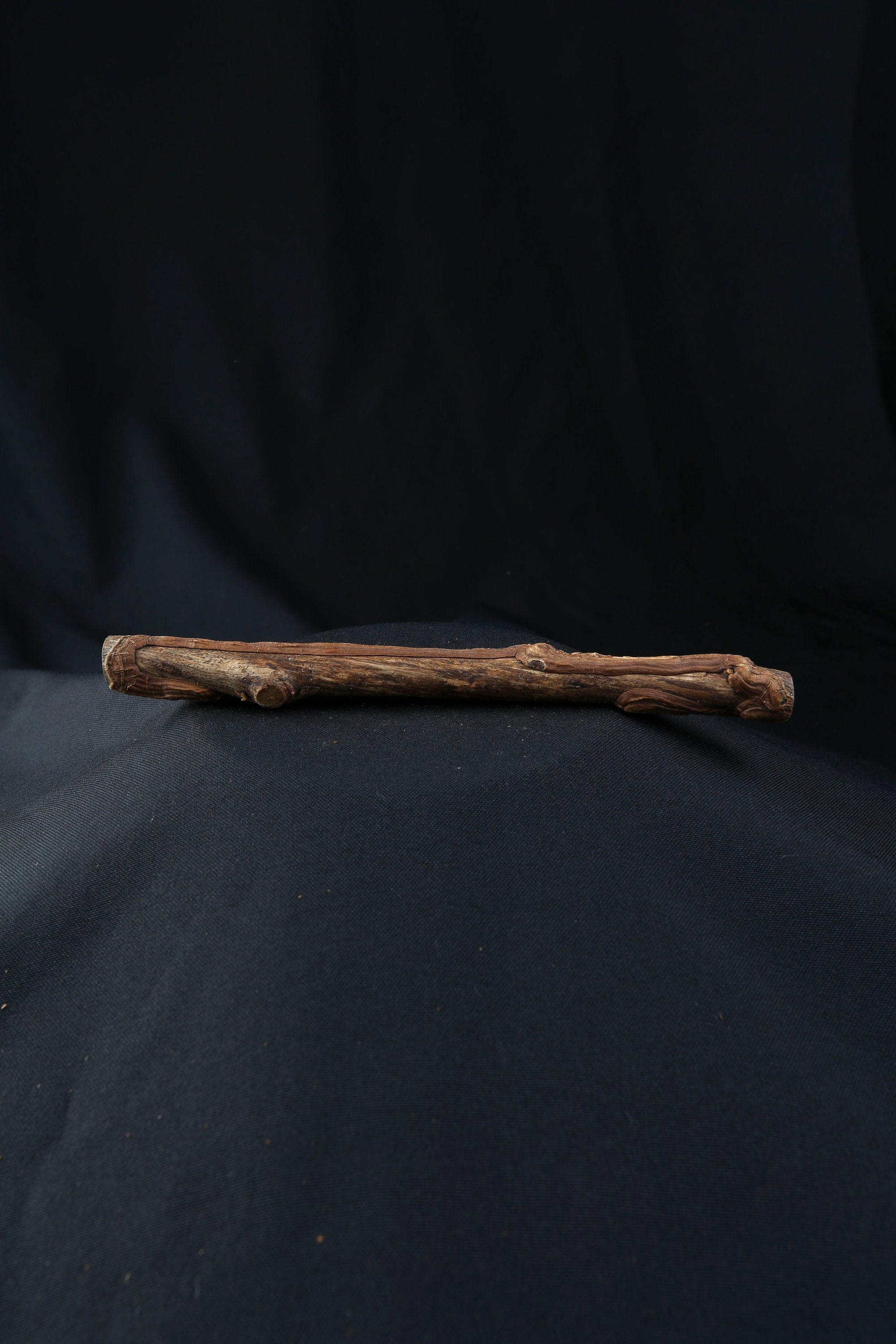 Talisman Chamanique en Bois de Houx, Bâton Rituel Sacré Païen