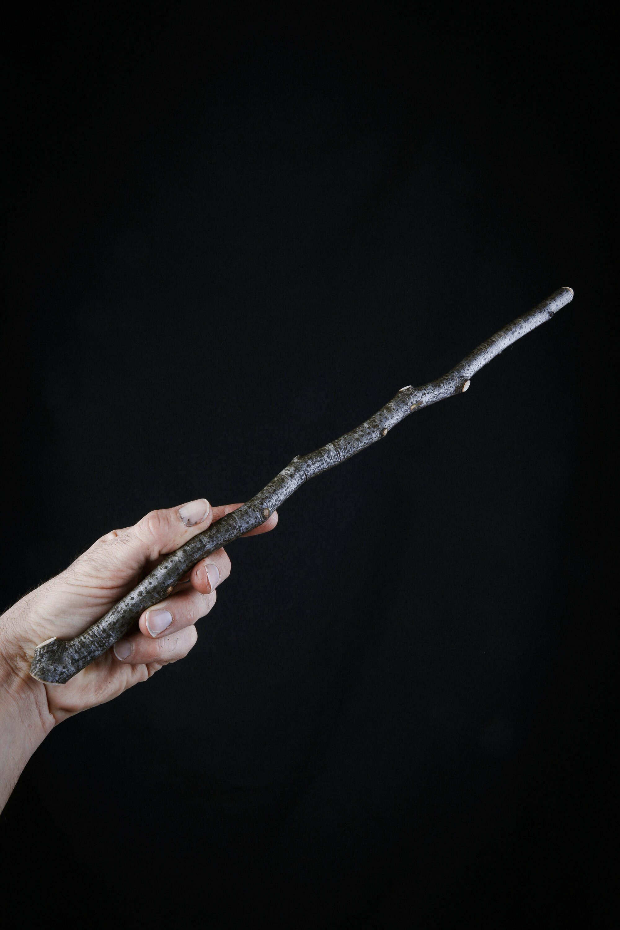 Baguette Magique en Bois de Hêtre