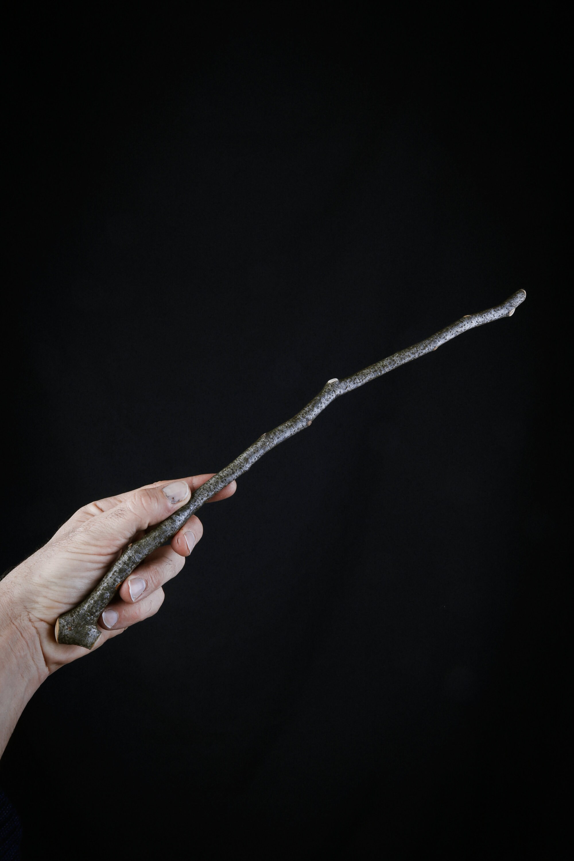 Baguette Magique en Bois de Hêtre