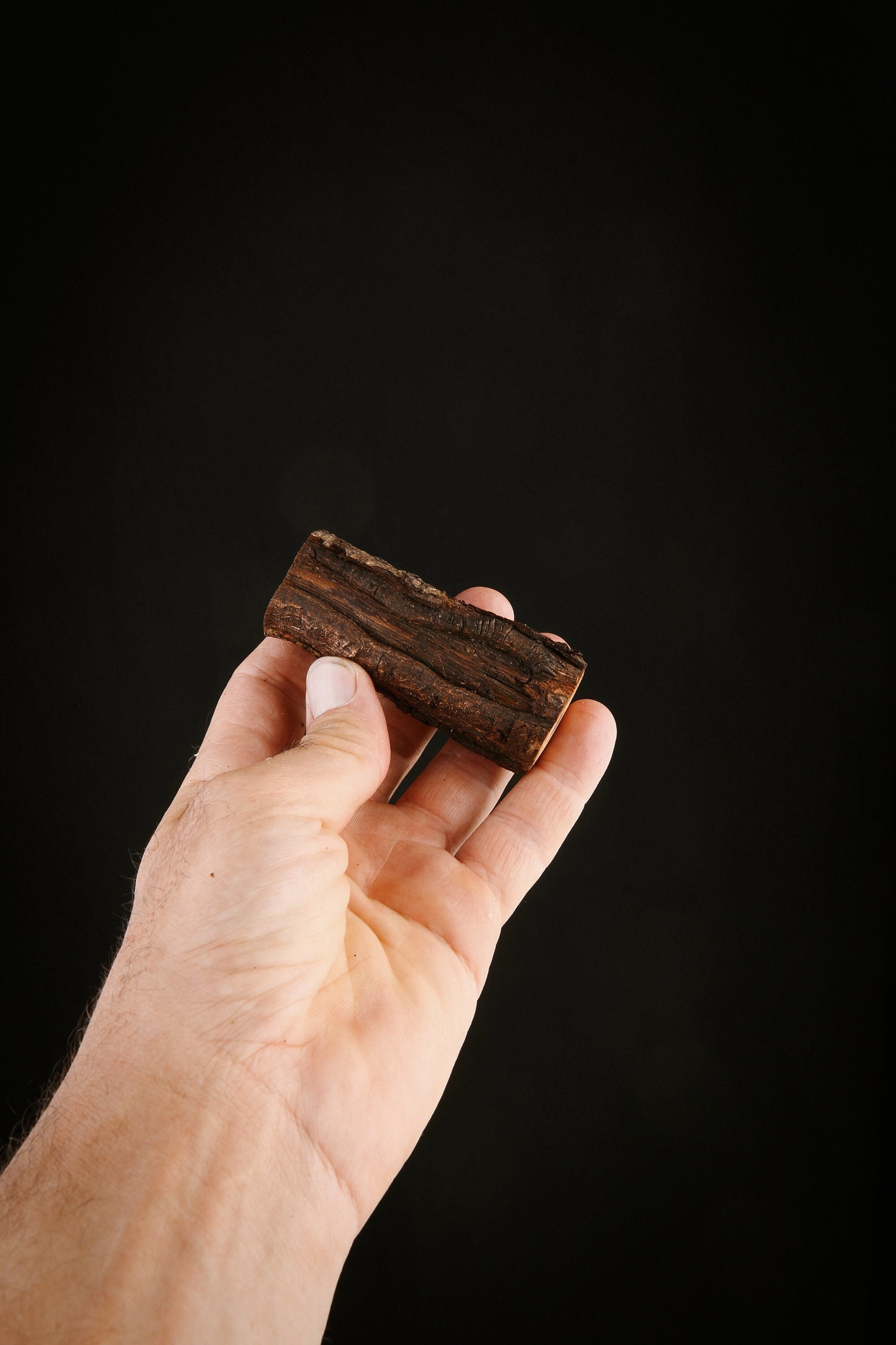 Talisman Chamanique en Bois de Chêne Pédonculé, Bâton Rituel Sacré Païen