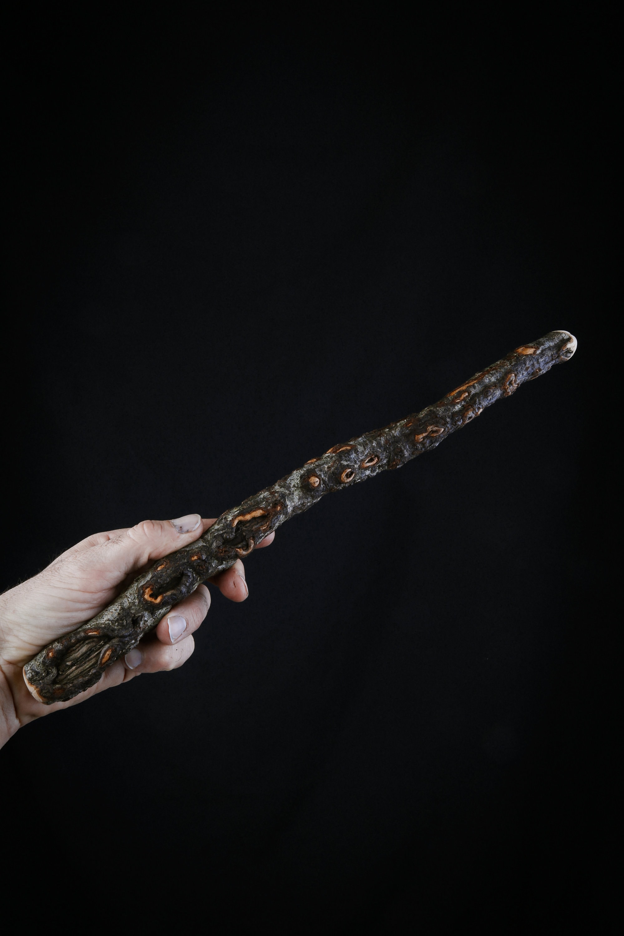 Baguette Magique en Bois de Hêtre