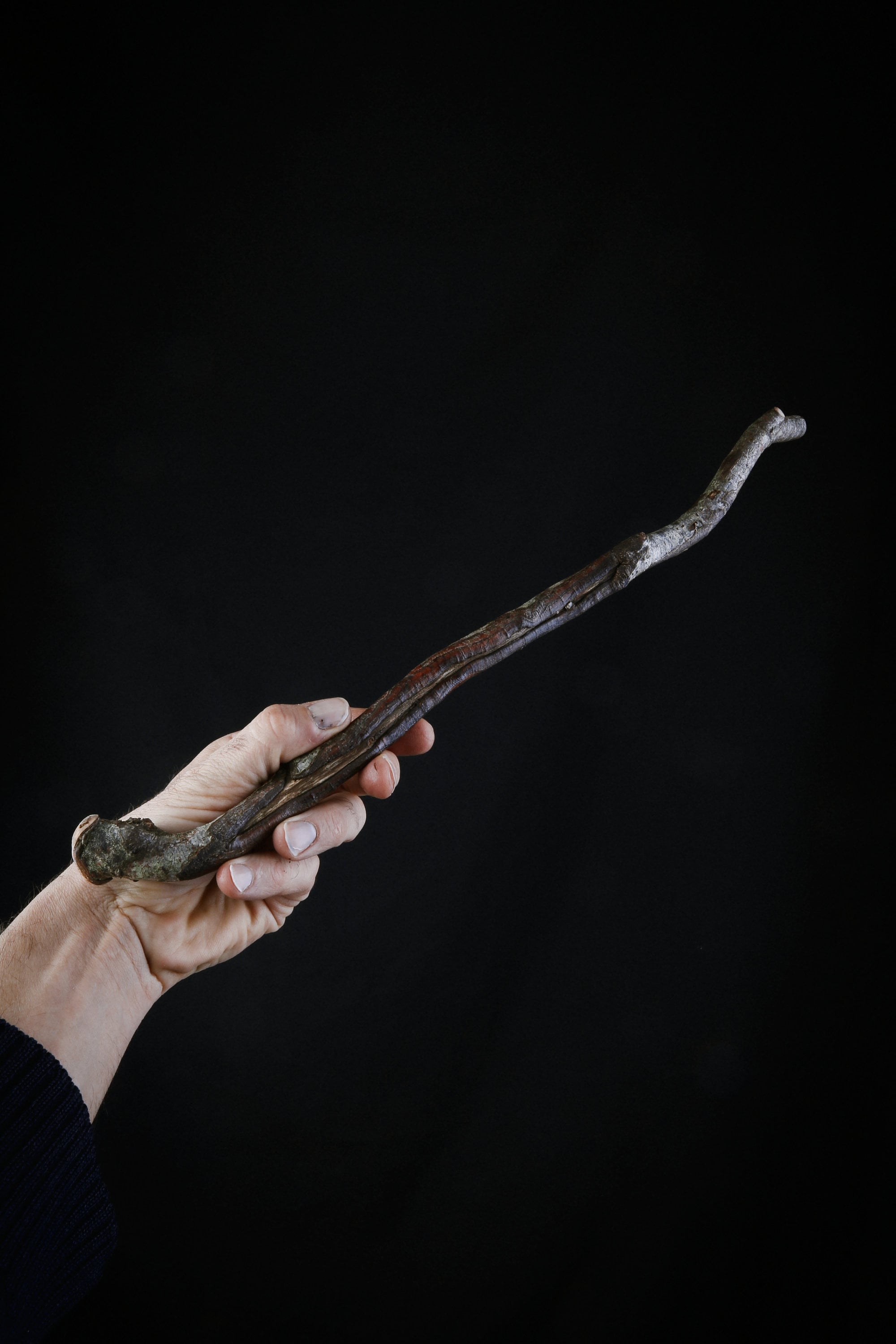 Baguette Magique en Bois de Hêtre