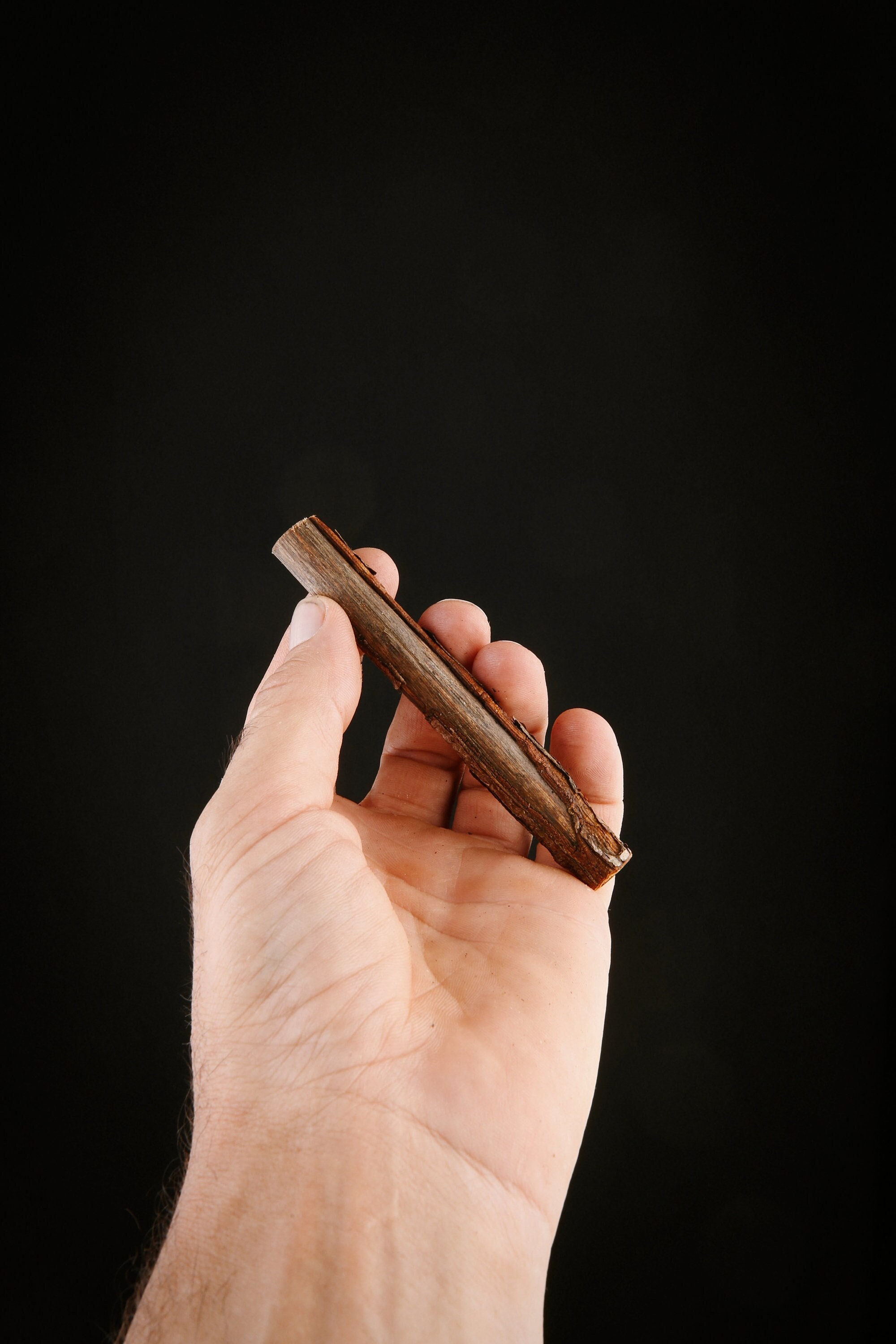 Talisman Chamanique en Bois de Noisetier, Bâton Rituel Sacré Païen