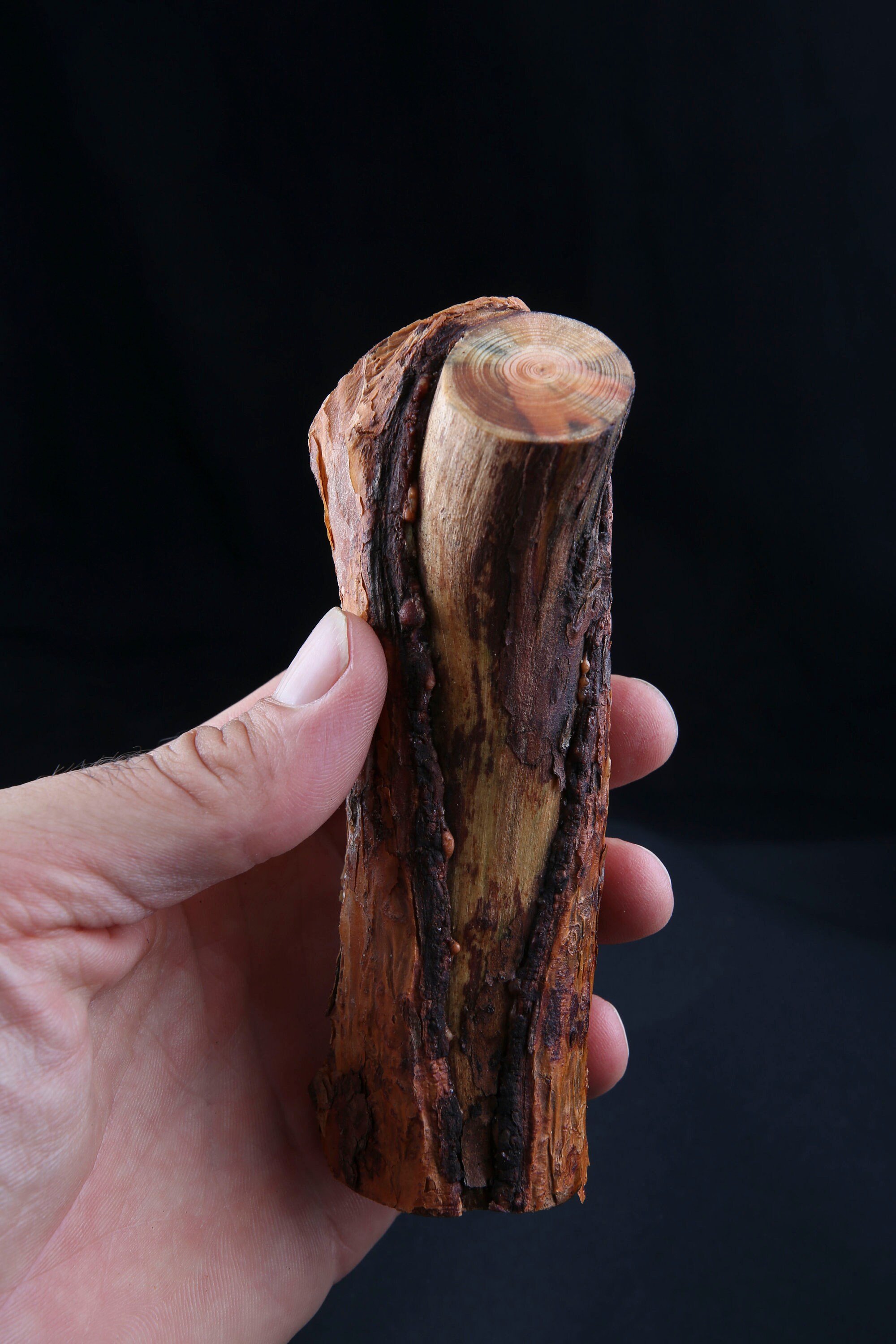 Talisman Chamanique en Bois de Pin Sylvestre, Bâton Rituel Sacré Païen