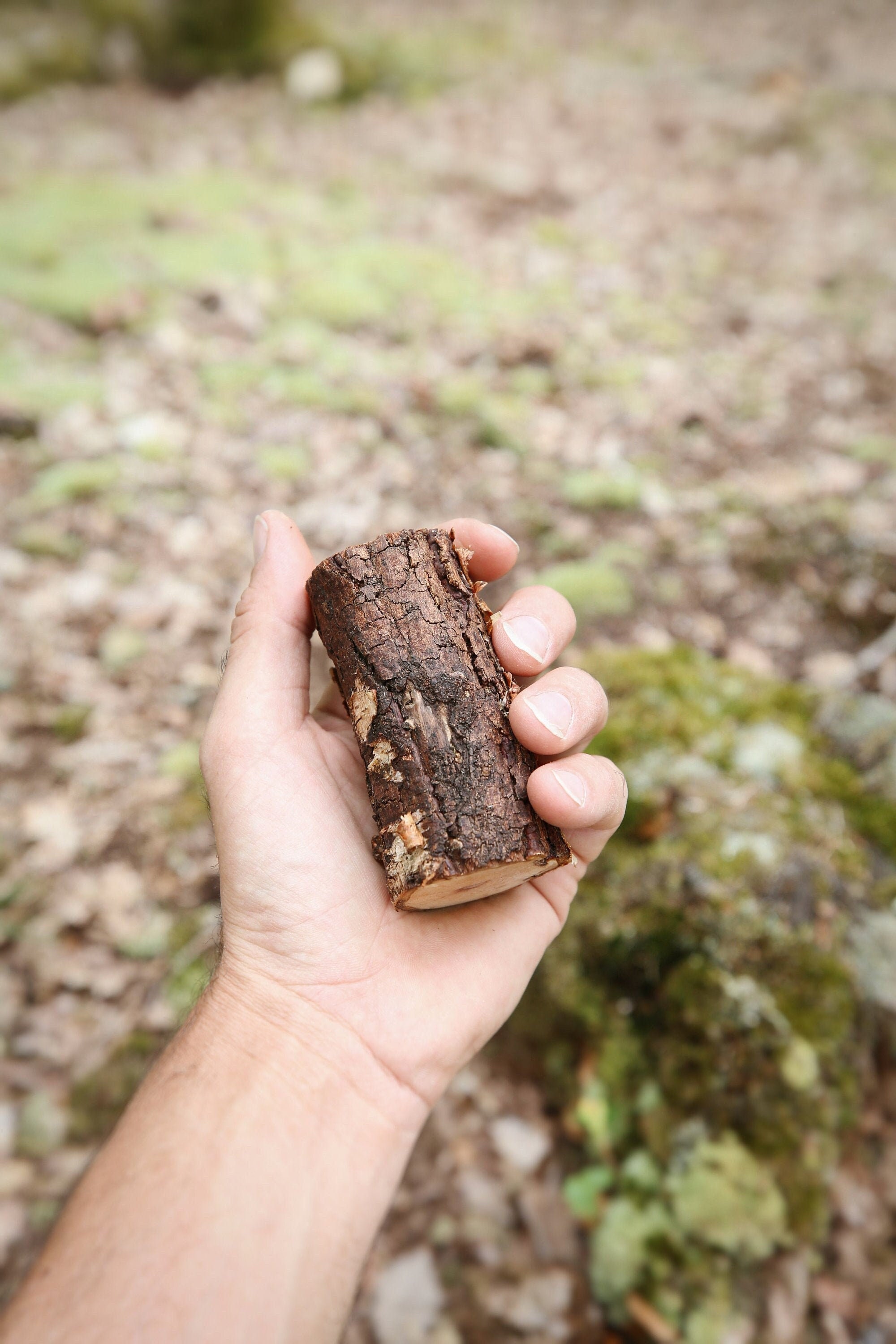 Talisman Chamanique en Bois de Bouleau, Bâton Rituel Sacré Païen