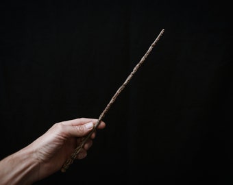Elm wood magic wand