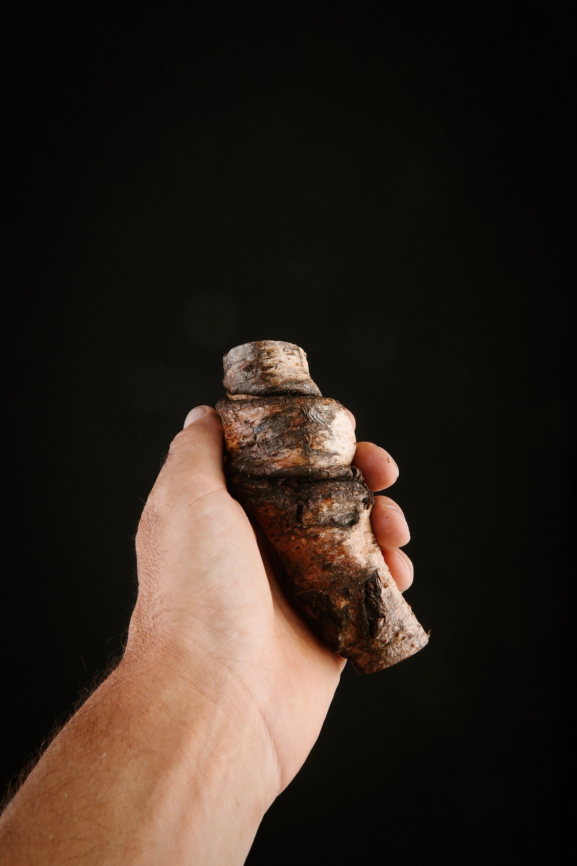 Talisman Chamanique en Bois de Bouleau, Bâton Rituel Sacré Païen