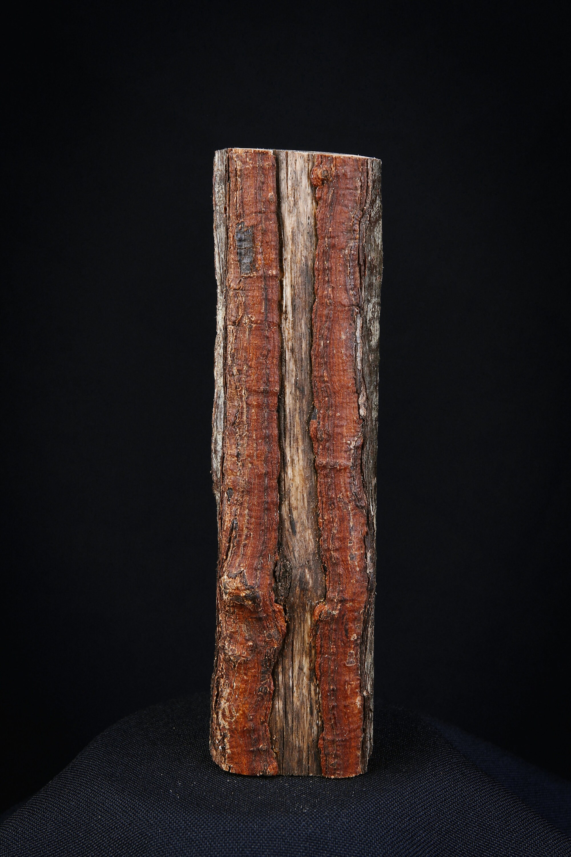 Talisman Chamanique en Bois de Noisetier, Bâton Rituel Sacré Païen