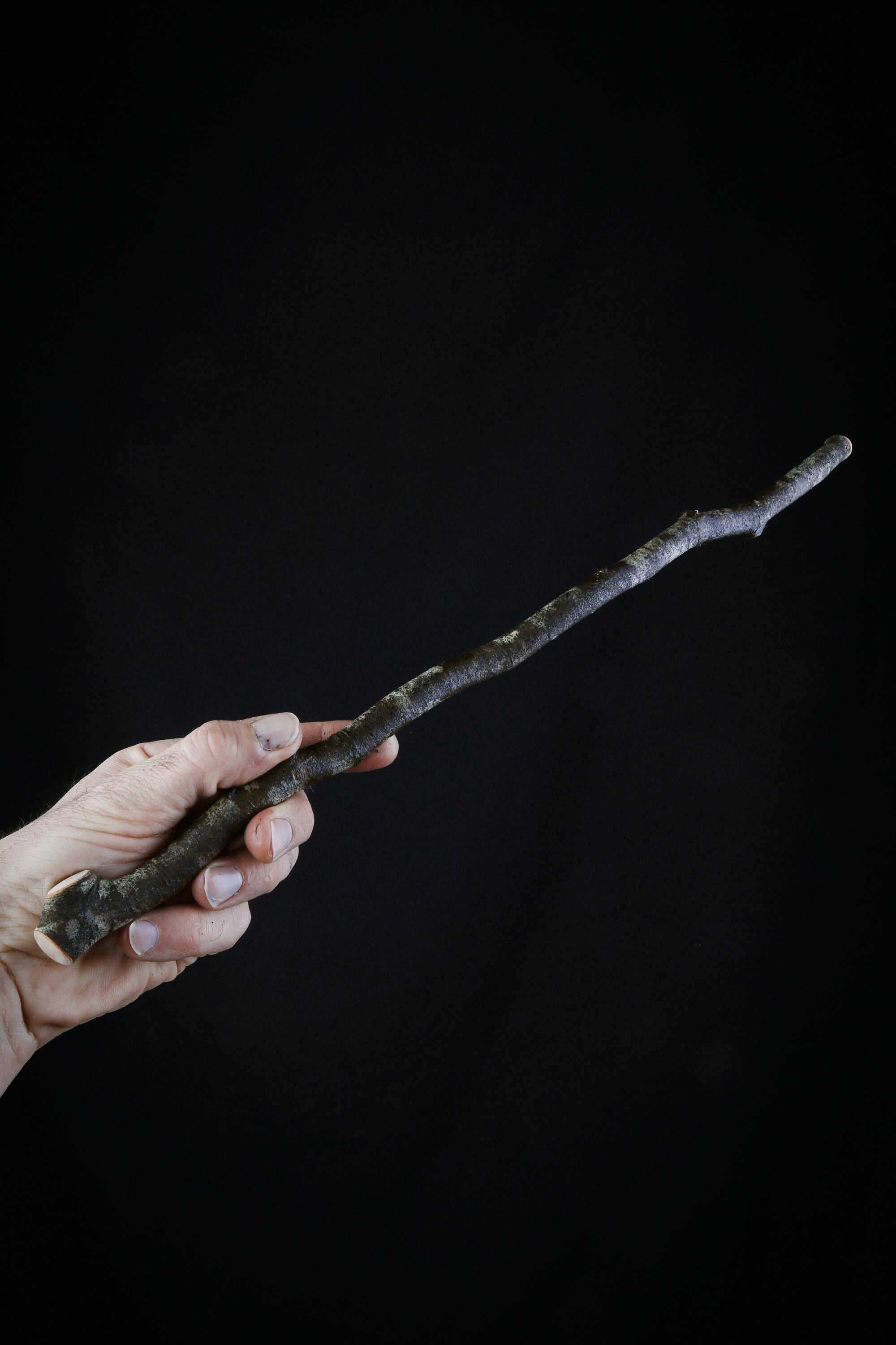 Baguette Magique en Bois de Hêtre