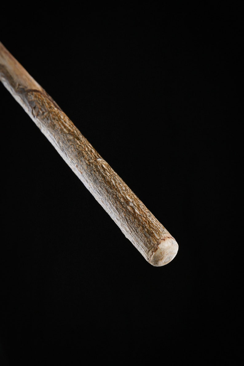 Magic wand in holly wood
