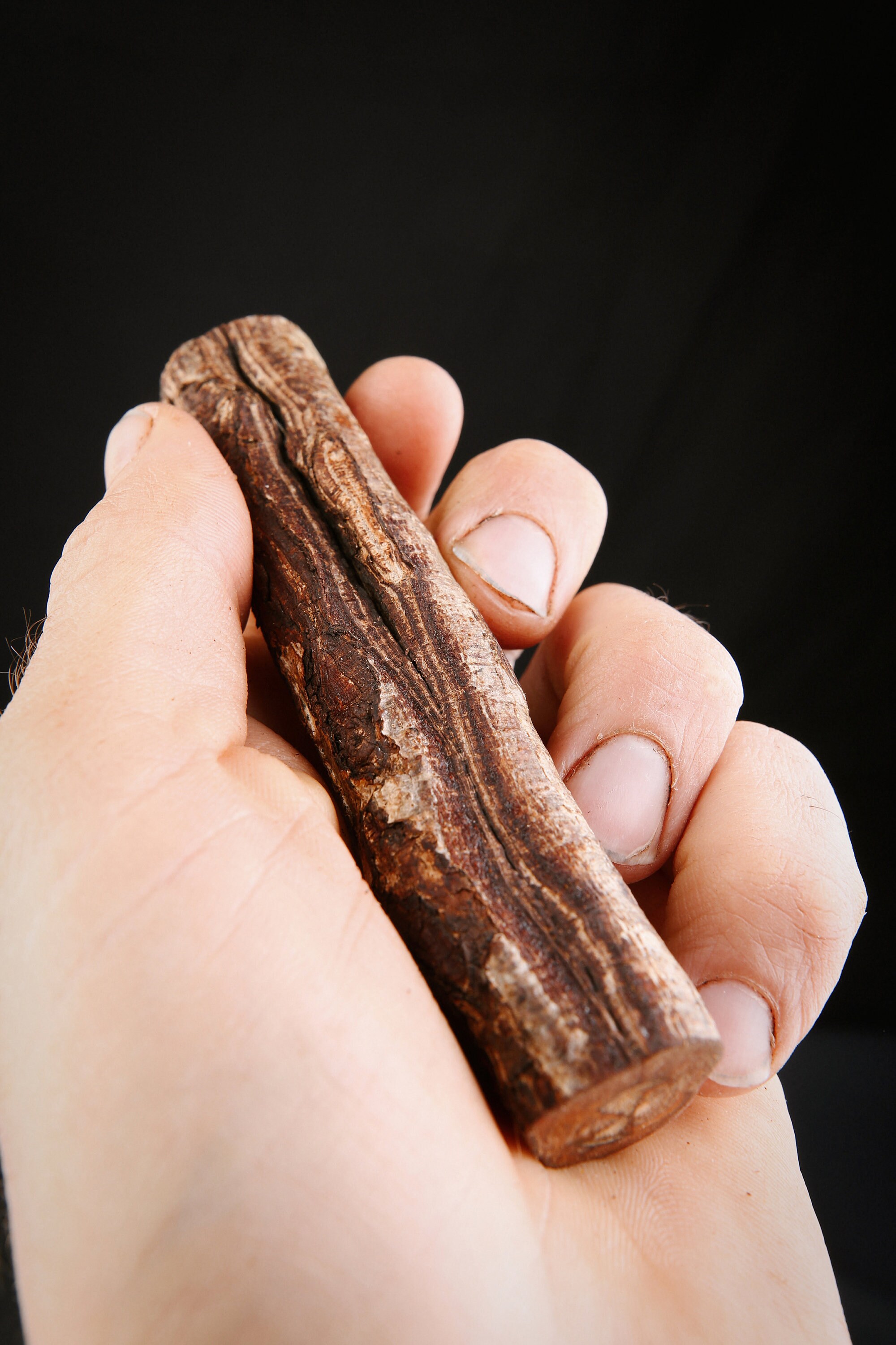 Talisman Chamanique en Bois de Noisetier, Bâton Rituel Sacré Païen