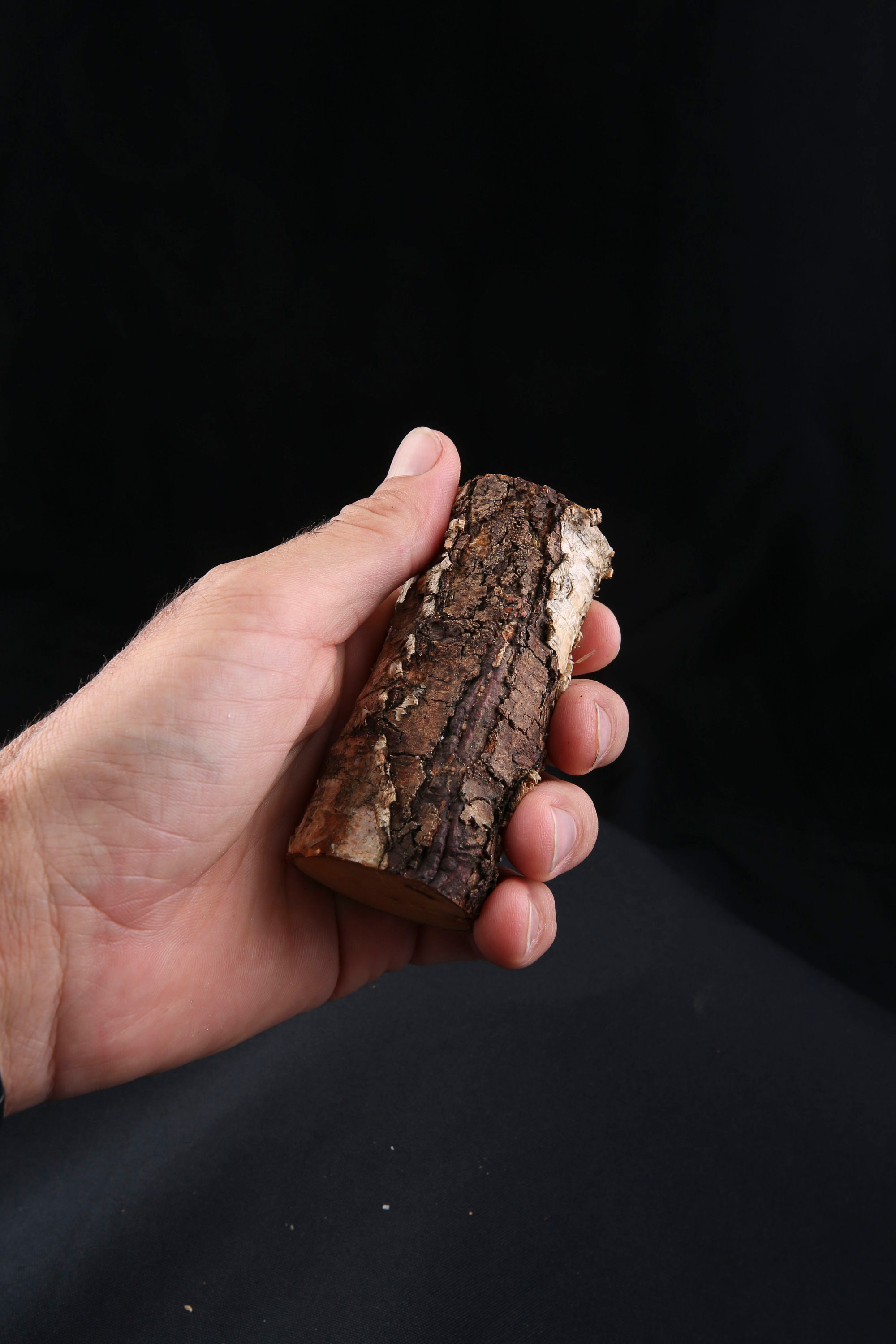 Talisman Chamanique en Bois de Bouleau, Bâton Rituel Sacré Païen