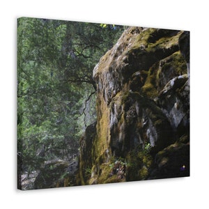 Lametta Baum Leinwand Wrap