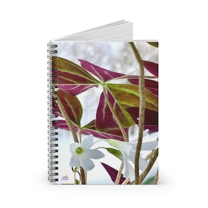 Spiral Notebook - Ruled Line