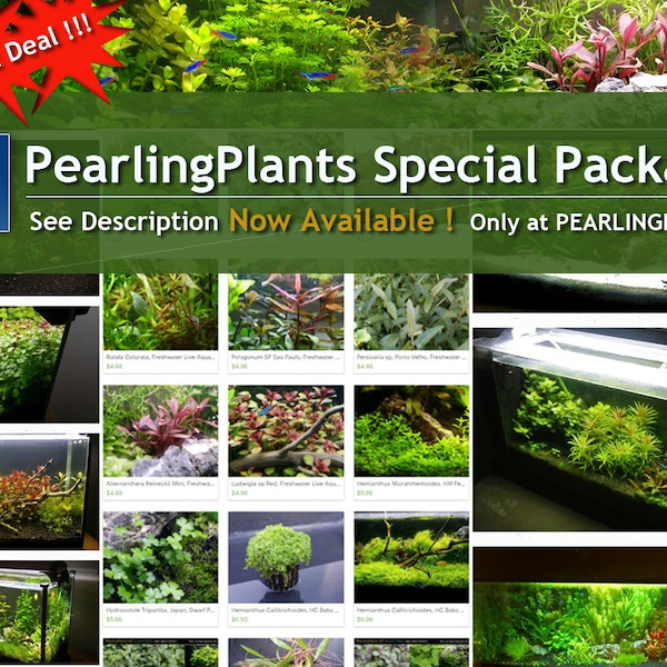 Special Package, 20 Kinds, Bundle (Pearlingplants) Freshwater Live Aquarium Plants + EXTRA