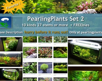 PearlingPlants Set 2,  10 kinds (Pearlingplants) Freshwater Live Aquarium Plants + EXTRA