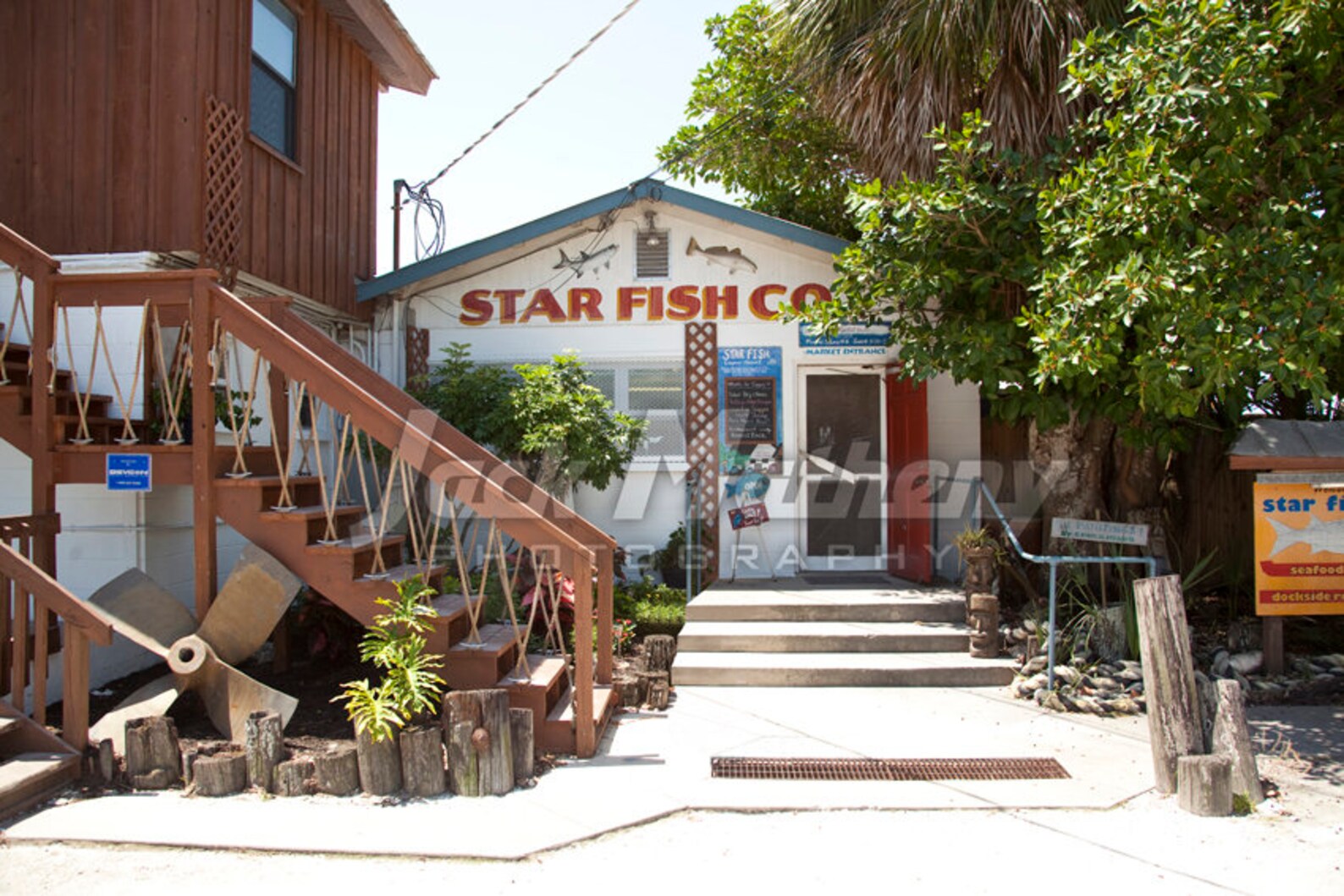 Starfish Company Fish Market Anna Maria Island Florida Photo Etsy