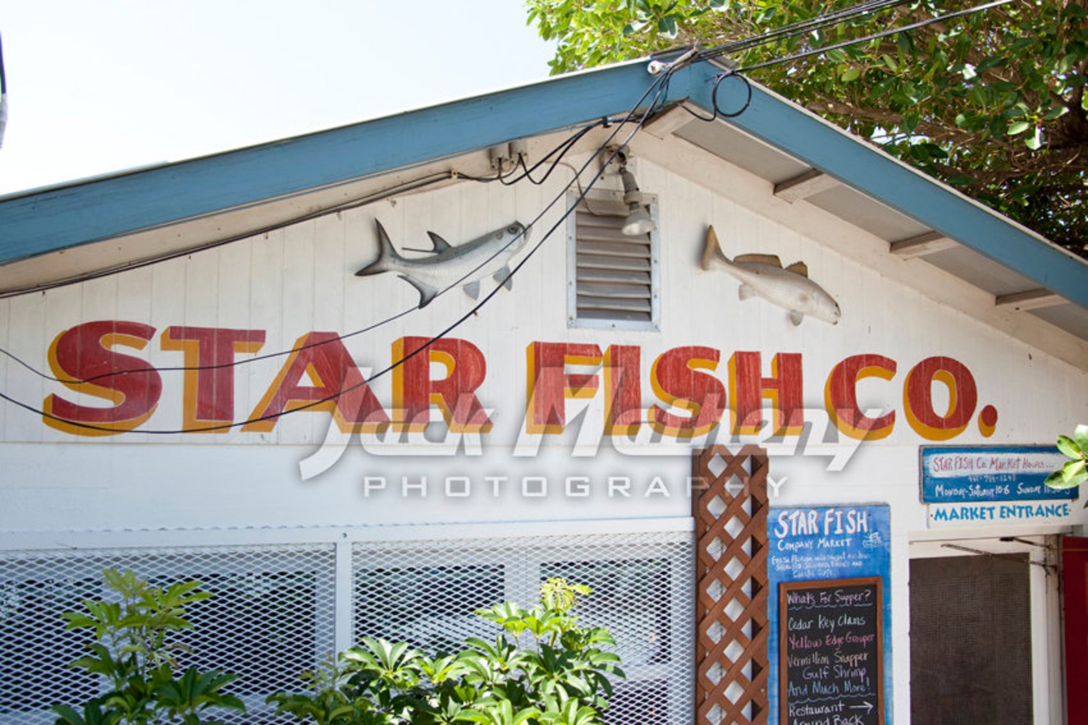 Starfish Company Fish Market Anna Maria Island Florida Photo Etsy