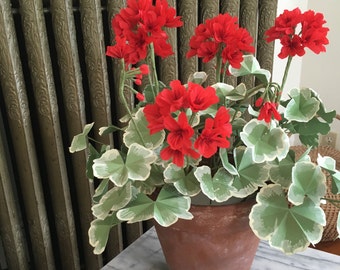Crepe Paper Potted Red Geranium Plant