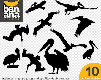 SALE Pelican 2 Silhouette png jpg svg eps files high resolution BV-AN-0048