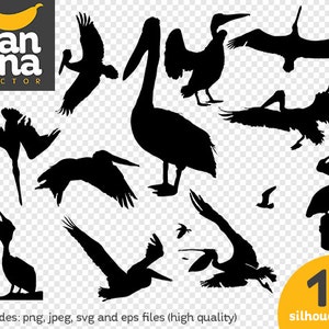 VENDITA Pelican 1 Silhouette png jpg svg eps file ad alta risoluzione BV-AN-0047