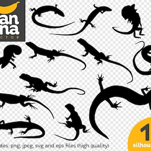 SALE Salamander 1 Silhouette png jpg svg eps files high resolution BV-AN-0054