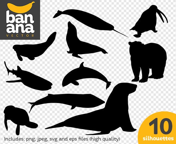 SALE Marine Mammals Silhouettes png jpg svg eps files high | Etsy
