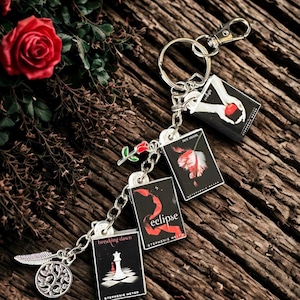 May include: A silver-toned keychain featuring four miniature book charms representing the Twilight series, including Twilight, New Moon, Eclipse, and Breaking Dawn, along with a small rose charm, a feather charm, and a circular tree of life charm.