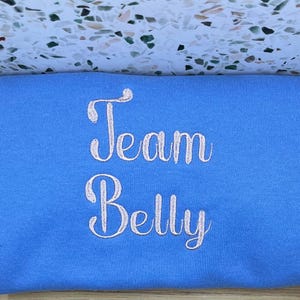 Team Belly Sweatshirt | The Summer I Turned Pretty Inspired | Belly Conklin Merch | TSITP Fan Gift | Team Belly Embroidered Crewneck