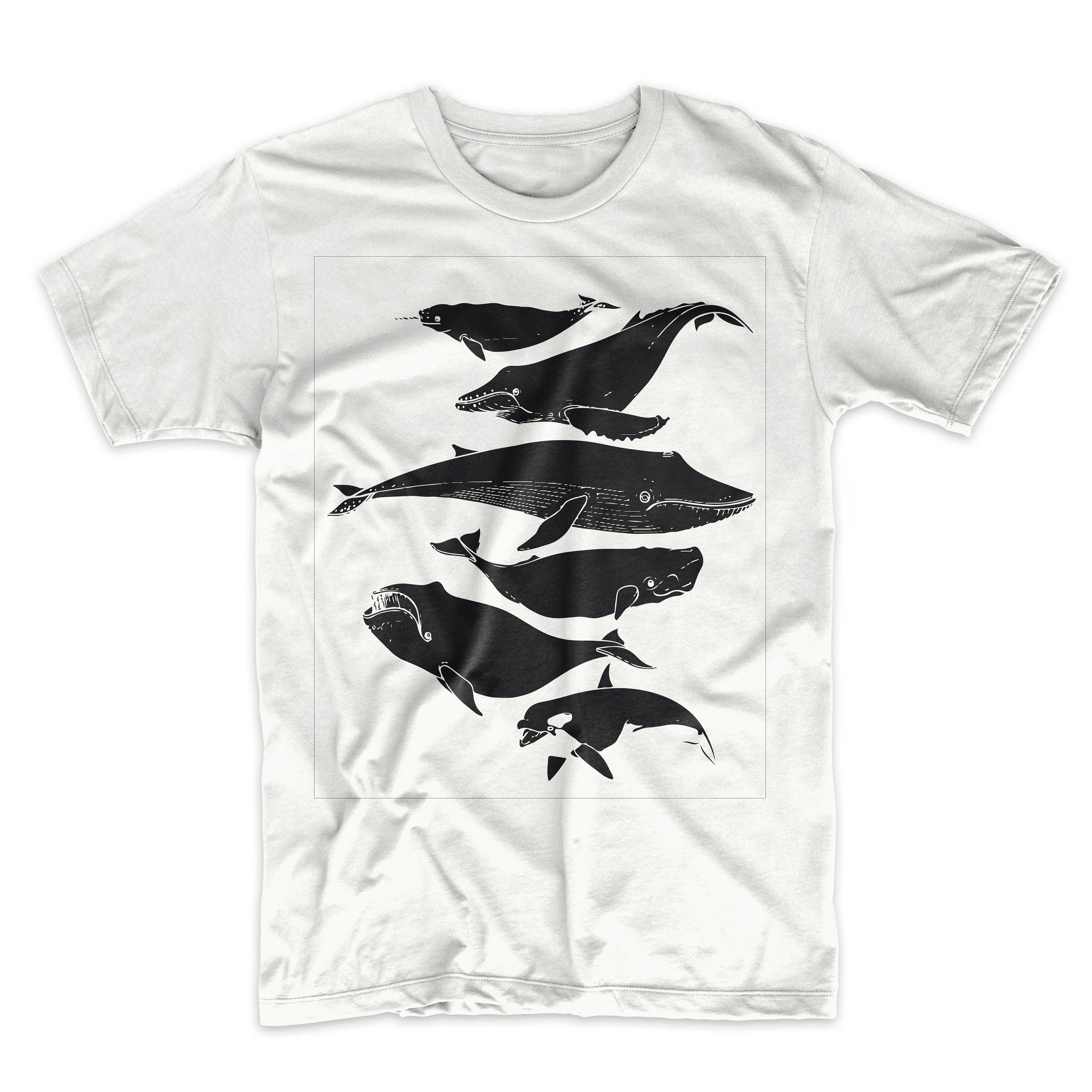 t shirt weight in lbs