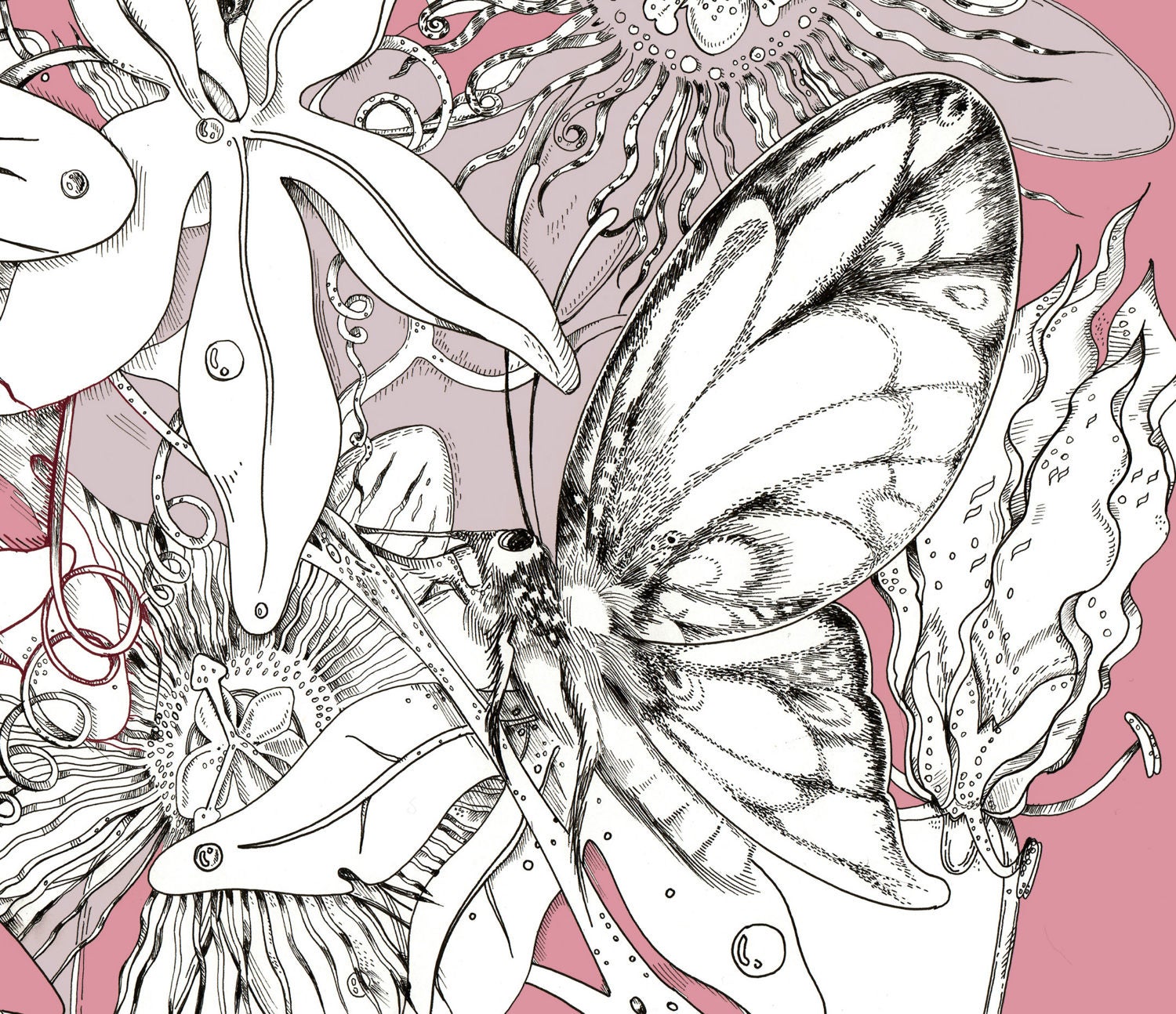 Wind in the Wings. Adult coloring page. Butterflies and | Etsy