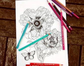 Puede incluir: Una página para colorear en blanco y negro con dos flores de amapola y una mariposa. La página está rodeada de lápices de colores, incluyendo rojo, naranja, amarillo, rosa, morado y azul.
