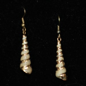 Seashell Dangle Earrings