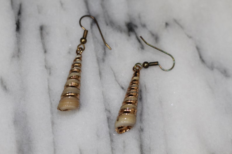 Seashell Dangle Earrings