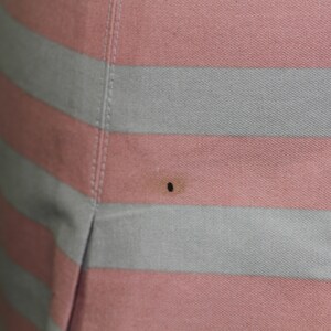 Puede incluir: Una falda de rayas rosa y gris con una peque&ntilde;a mancha negra.