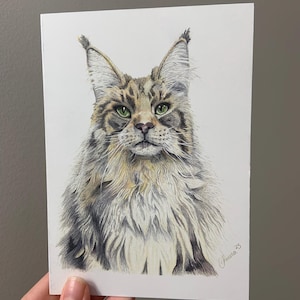 Maine coone cat blank greeting card