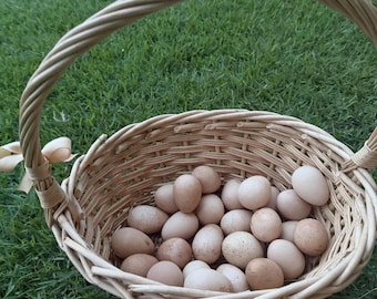 Fresh Guinea Fowl Eggs - Natural Pearl & White Mix