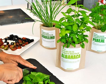 STEVIA aromatic cultivation kit