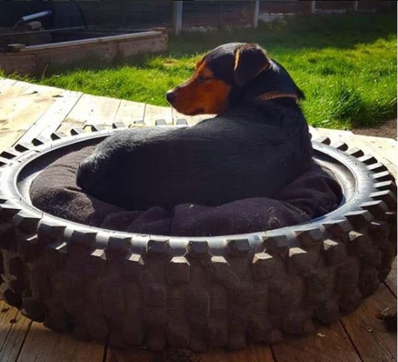21 Industrial Upcycled Furniture Ideas -Tyre Pet Beds 