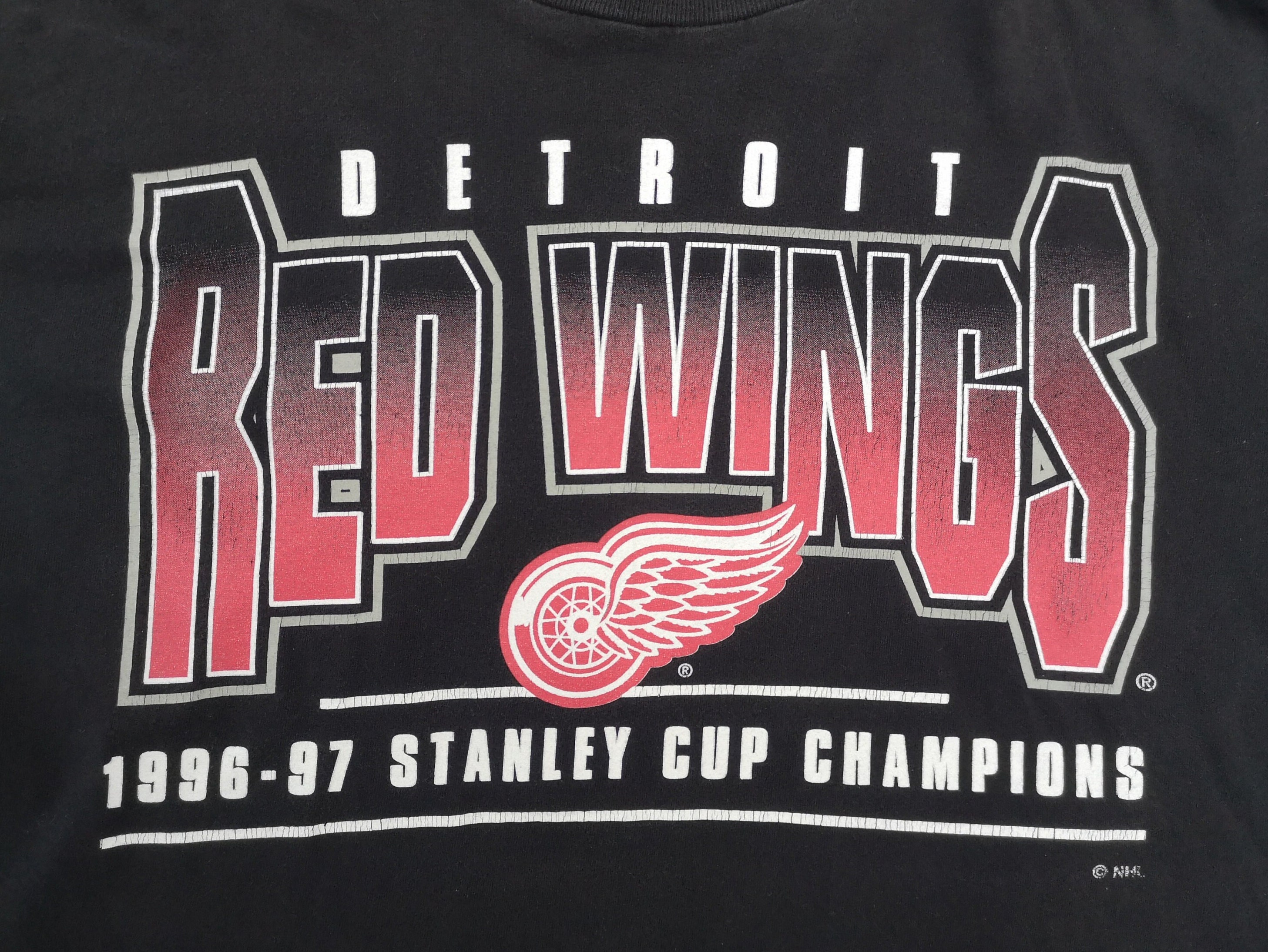 Red Wings Stanley Cup champions jersey